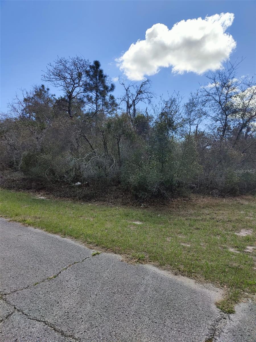 408 VERNON CT Property Photo 1