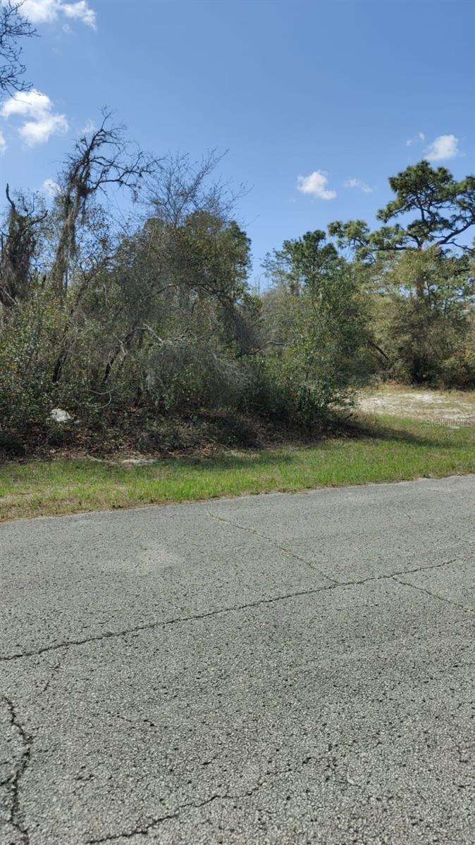 408 Vernon Ct Property Photo 2
