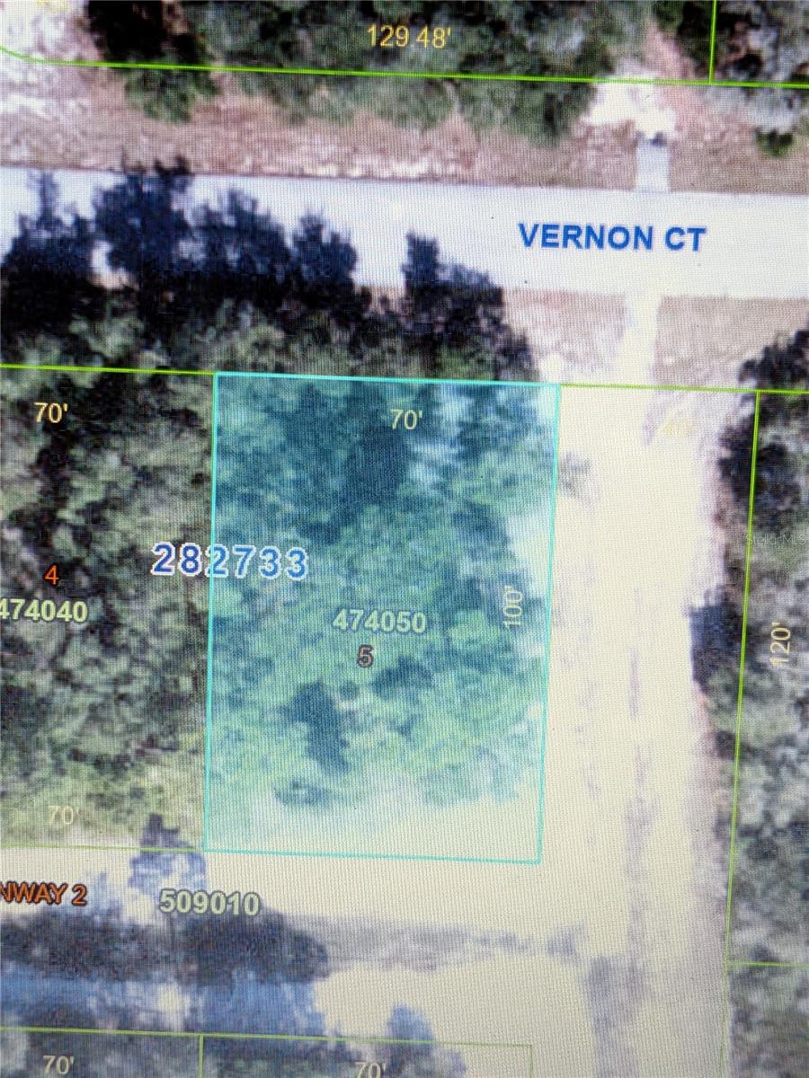 408 Vernon Ct Property Photo 4