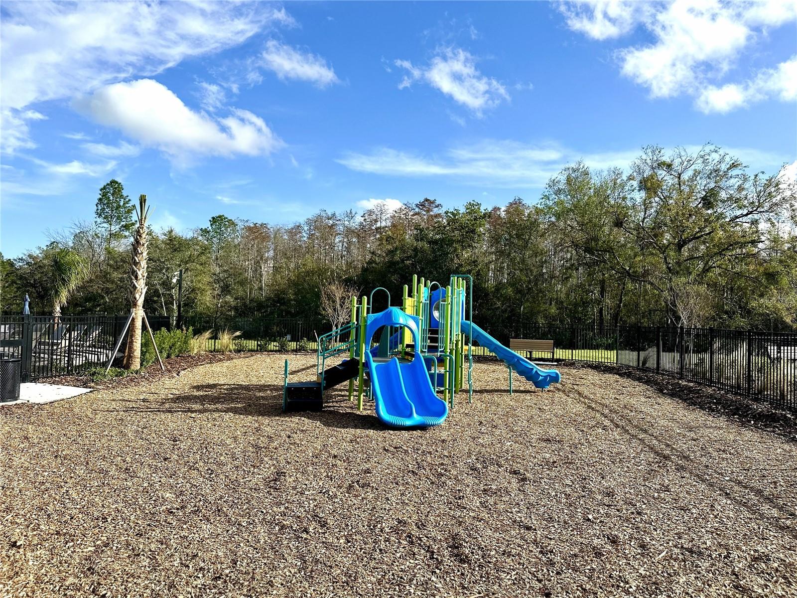 3244 Skyline Loop Property Photo 16