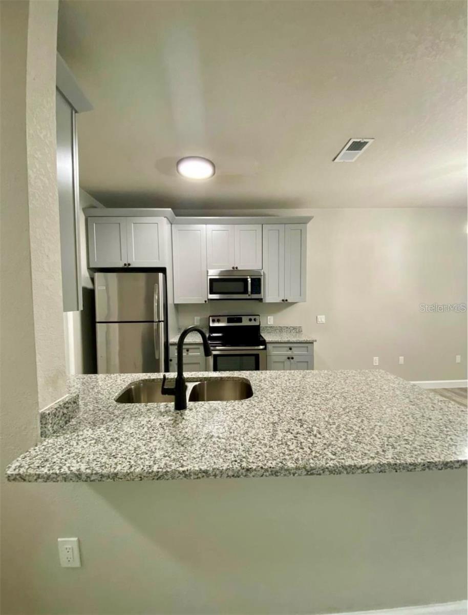 3011 Hemingway Cir #3011 Property Photo 6