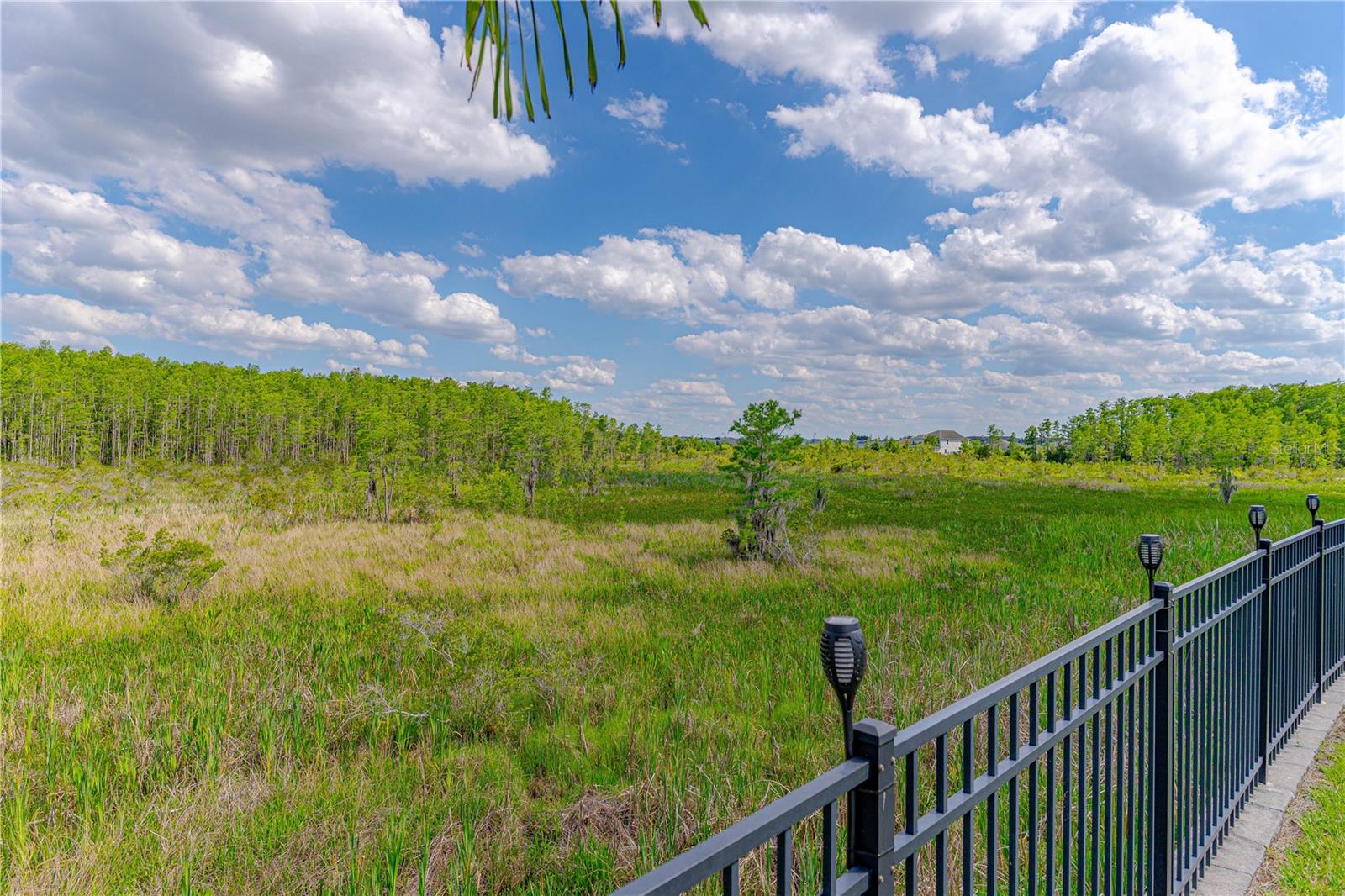 3032 Prelude Ln Property Photo 48