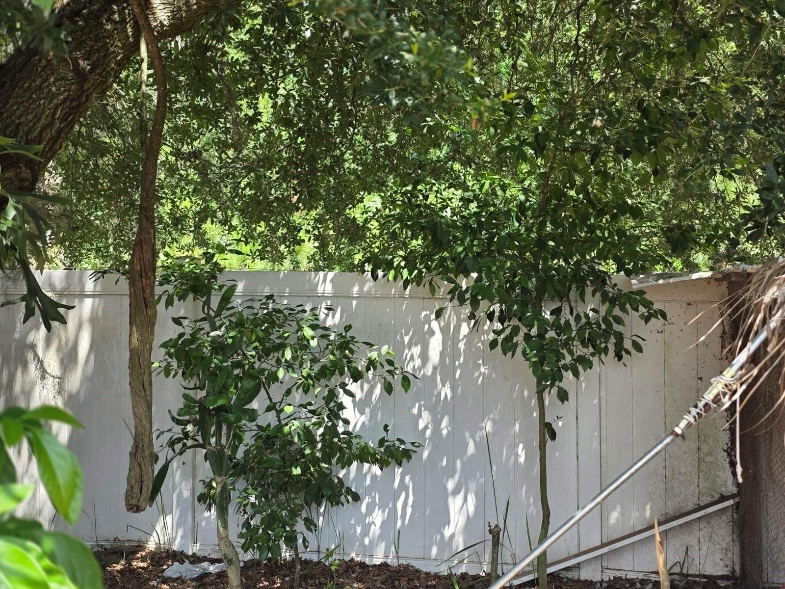 16 Perch Dr Property Photo 7