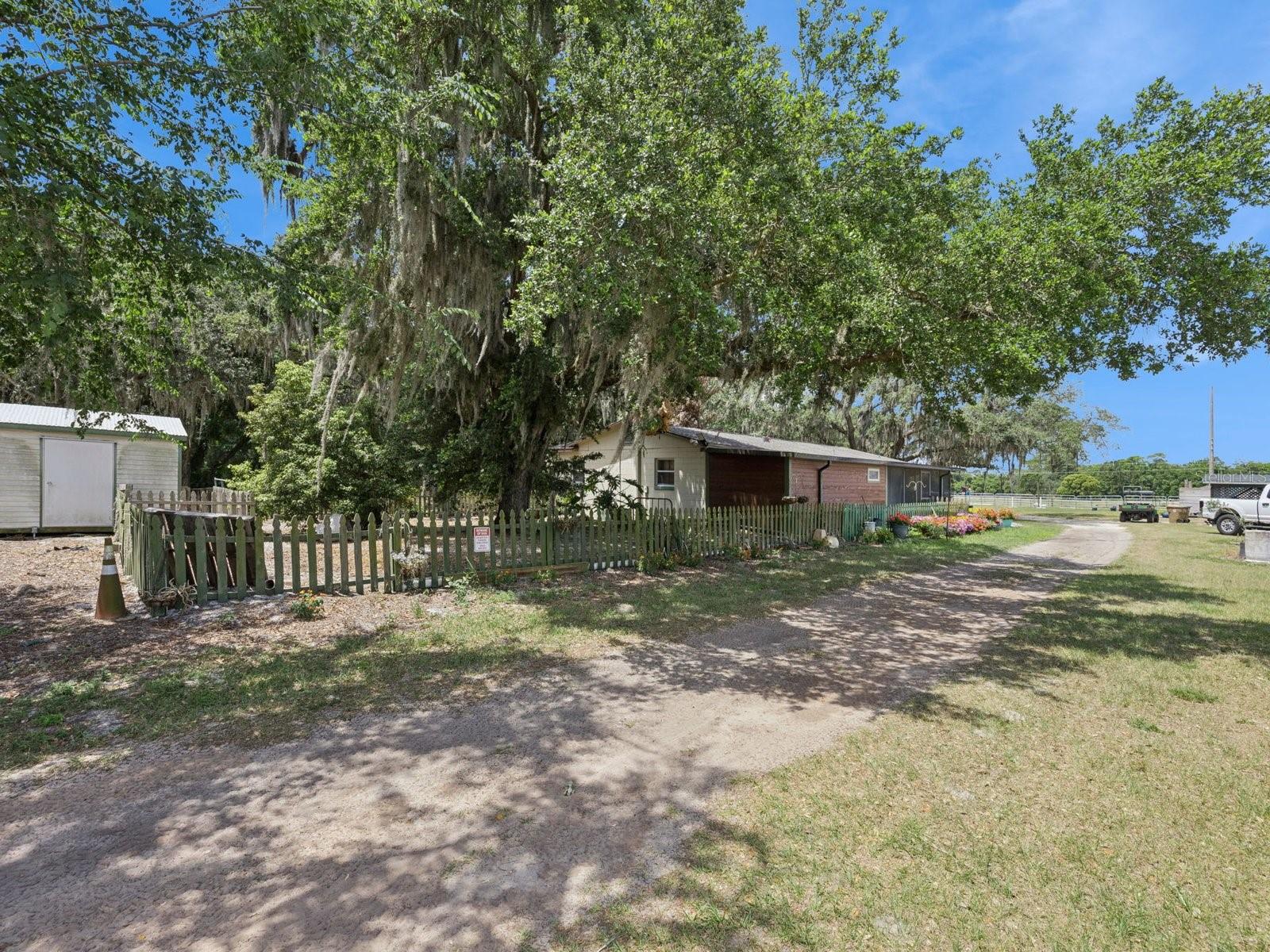 6001 Marthas Ln Property Photo 28