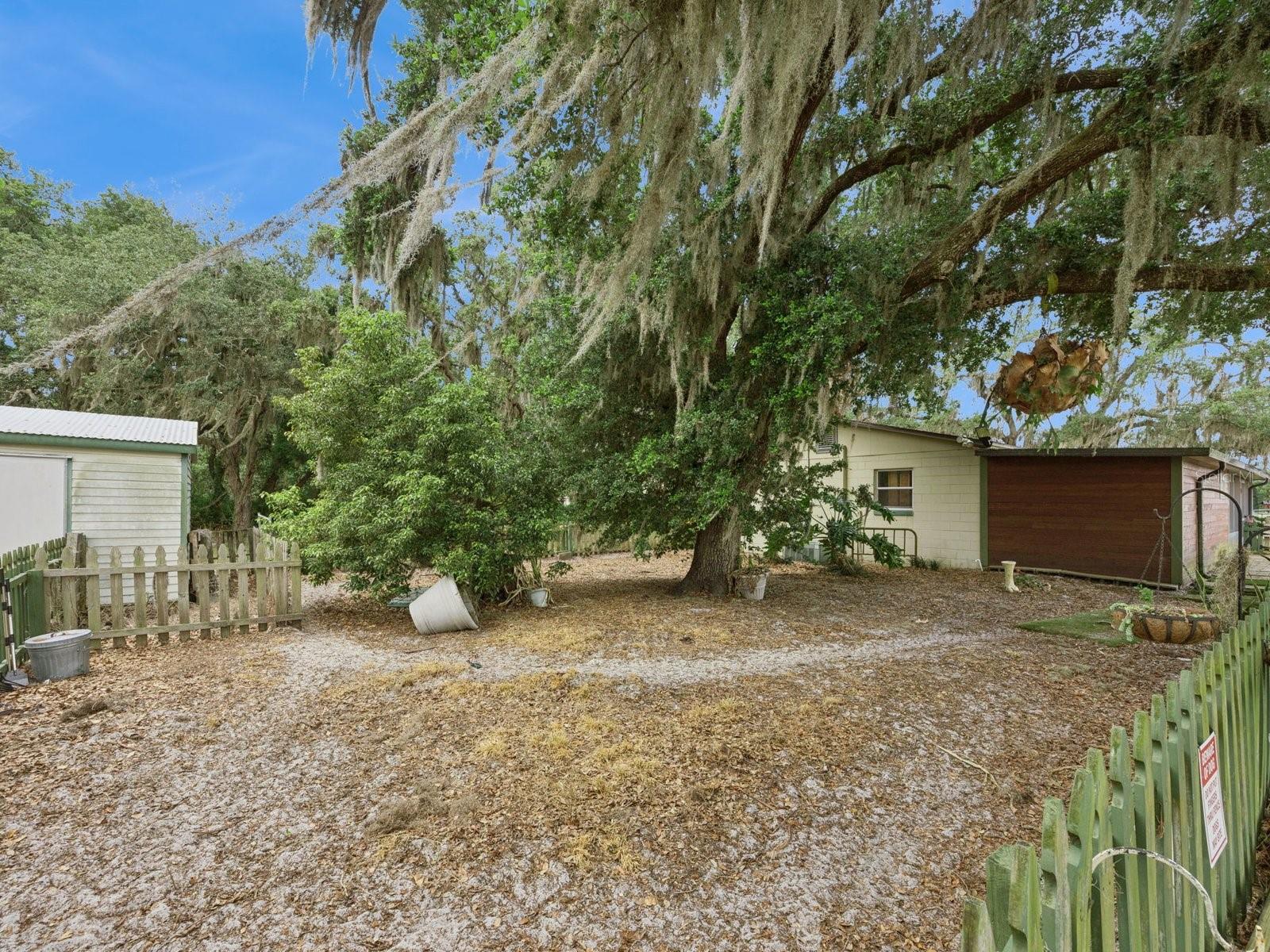 6001 Marthas Ln Property Photo 35