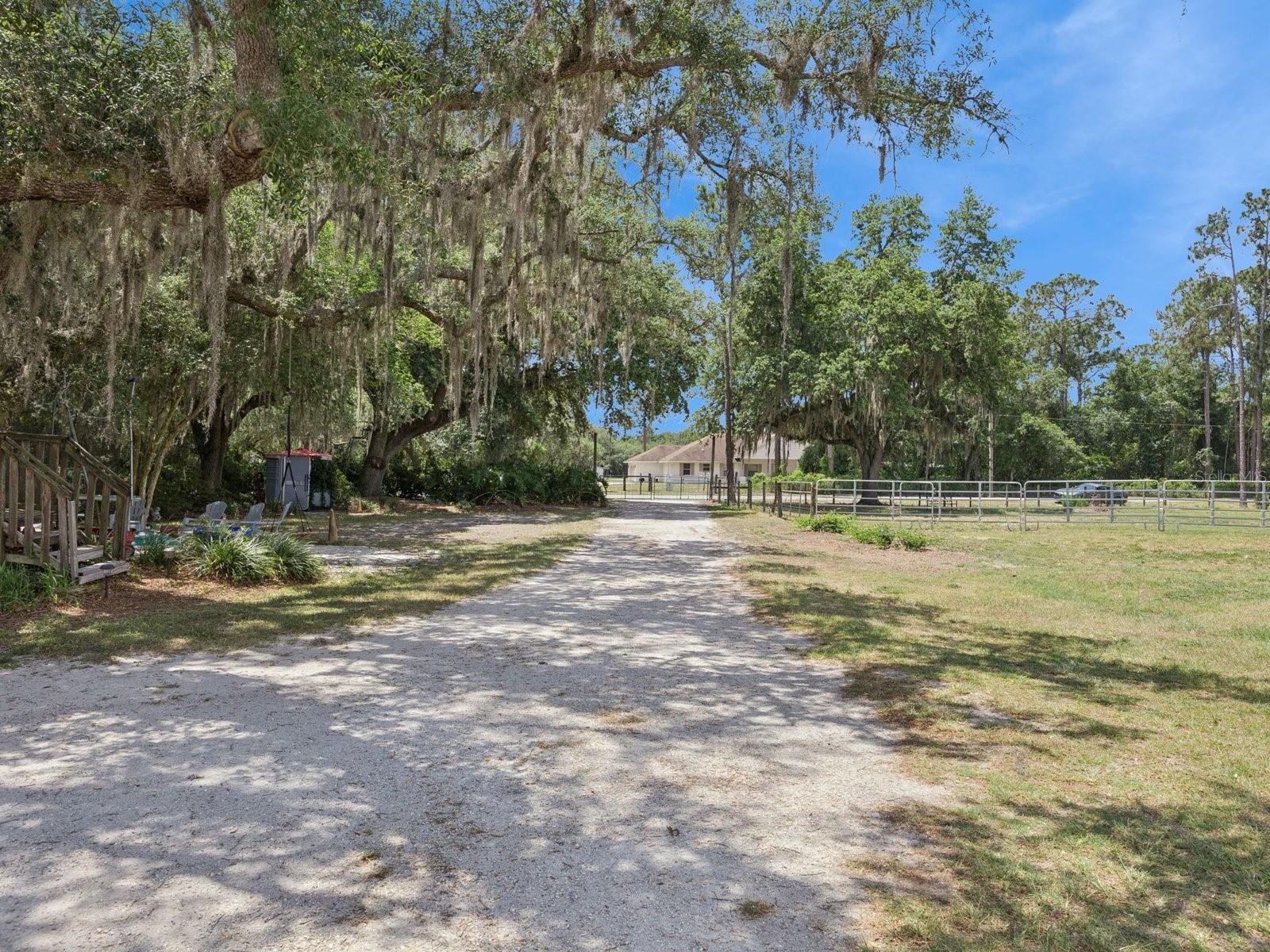 6001 Marthas Ln Property Photo 52
