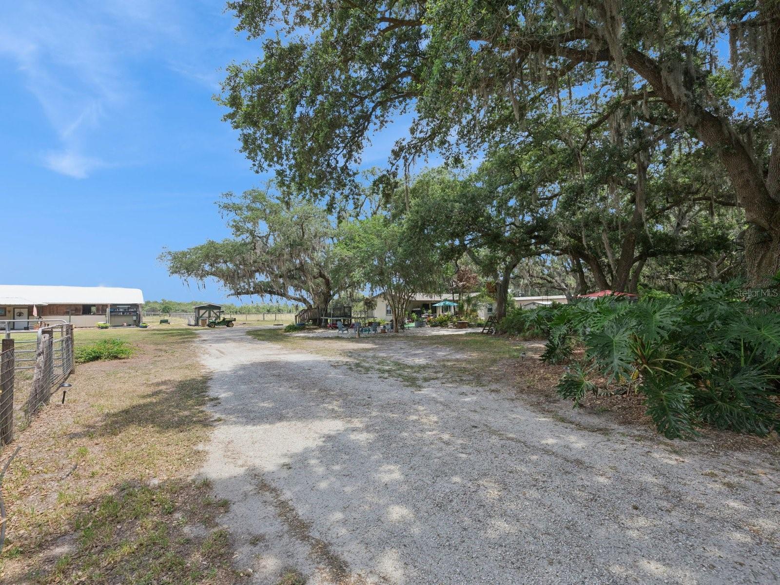 6001 Marthas Ln Property Photo 53