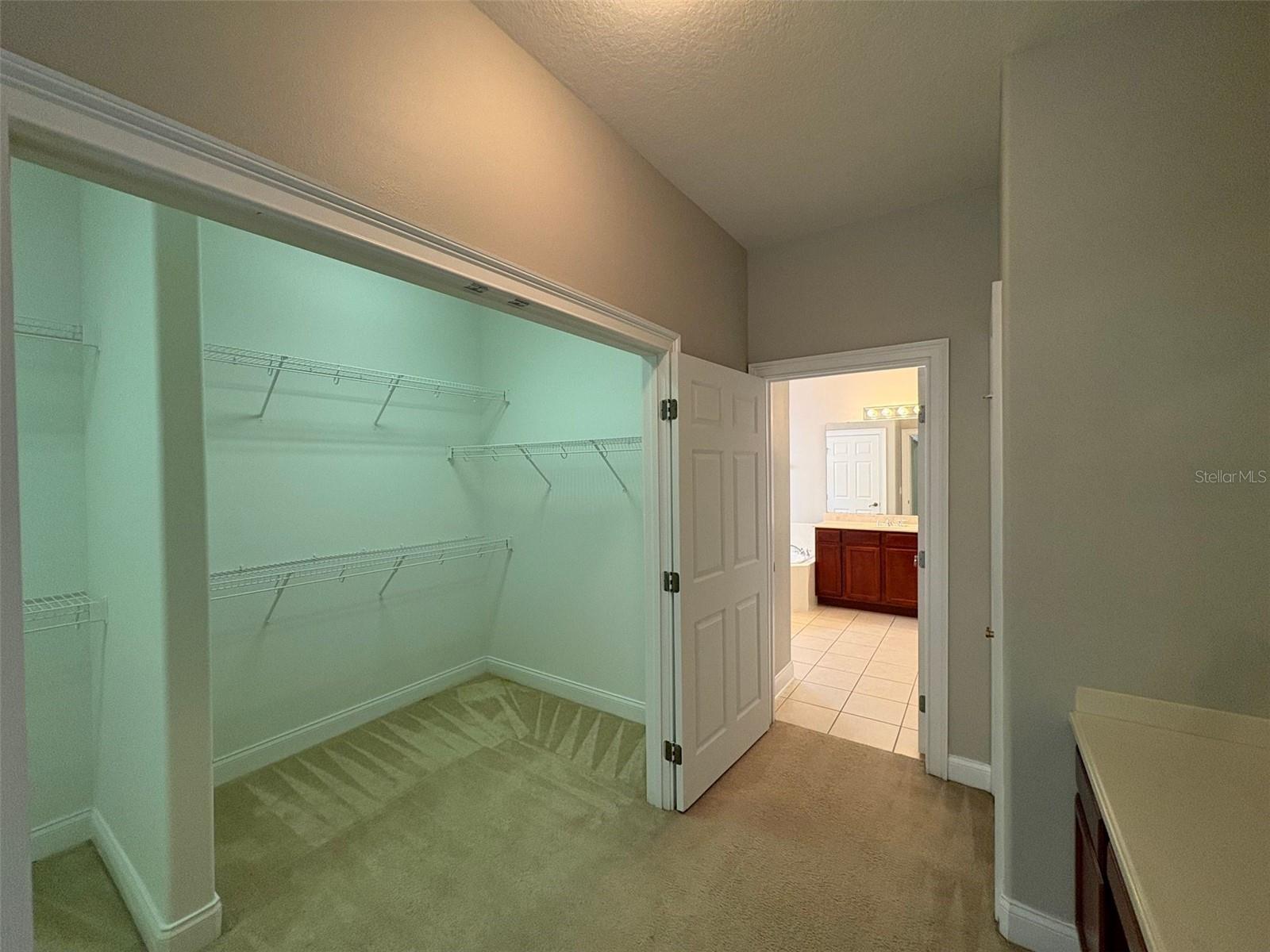 6931 Lucca St Property Photo 32