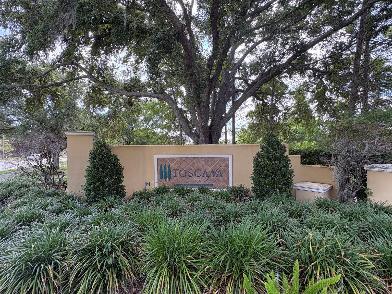 6931 Lucca St Property Photo 50