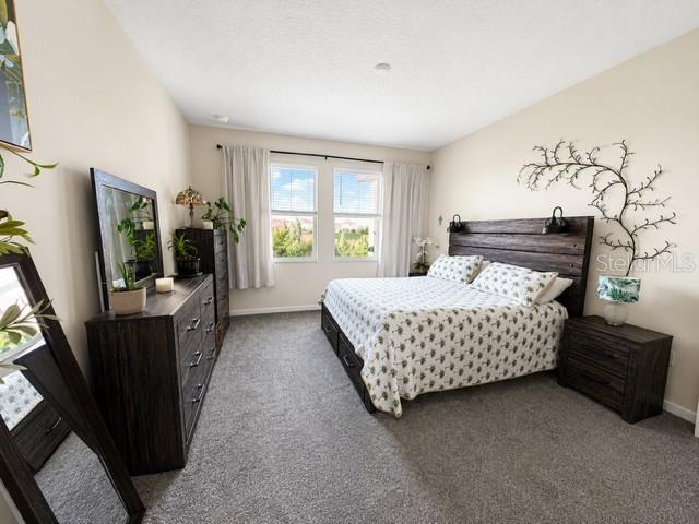 8736 Pacific Dunes Dr Property Photo 14