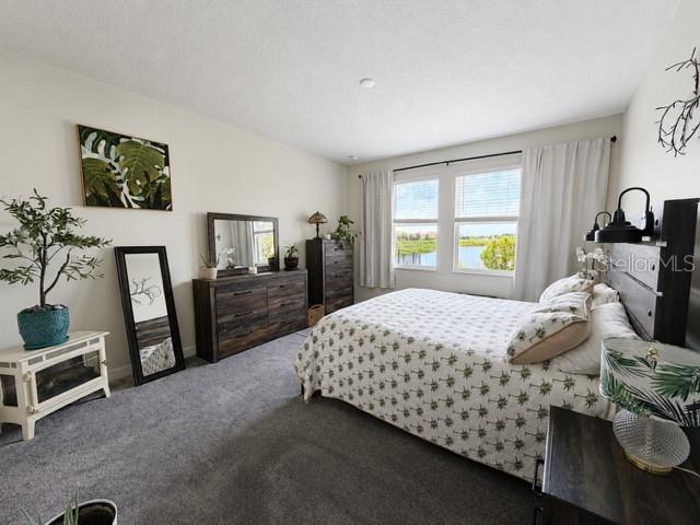8736 Pacific Dunes Dr Property Photo 15