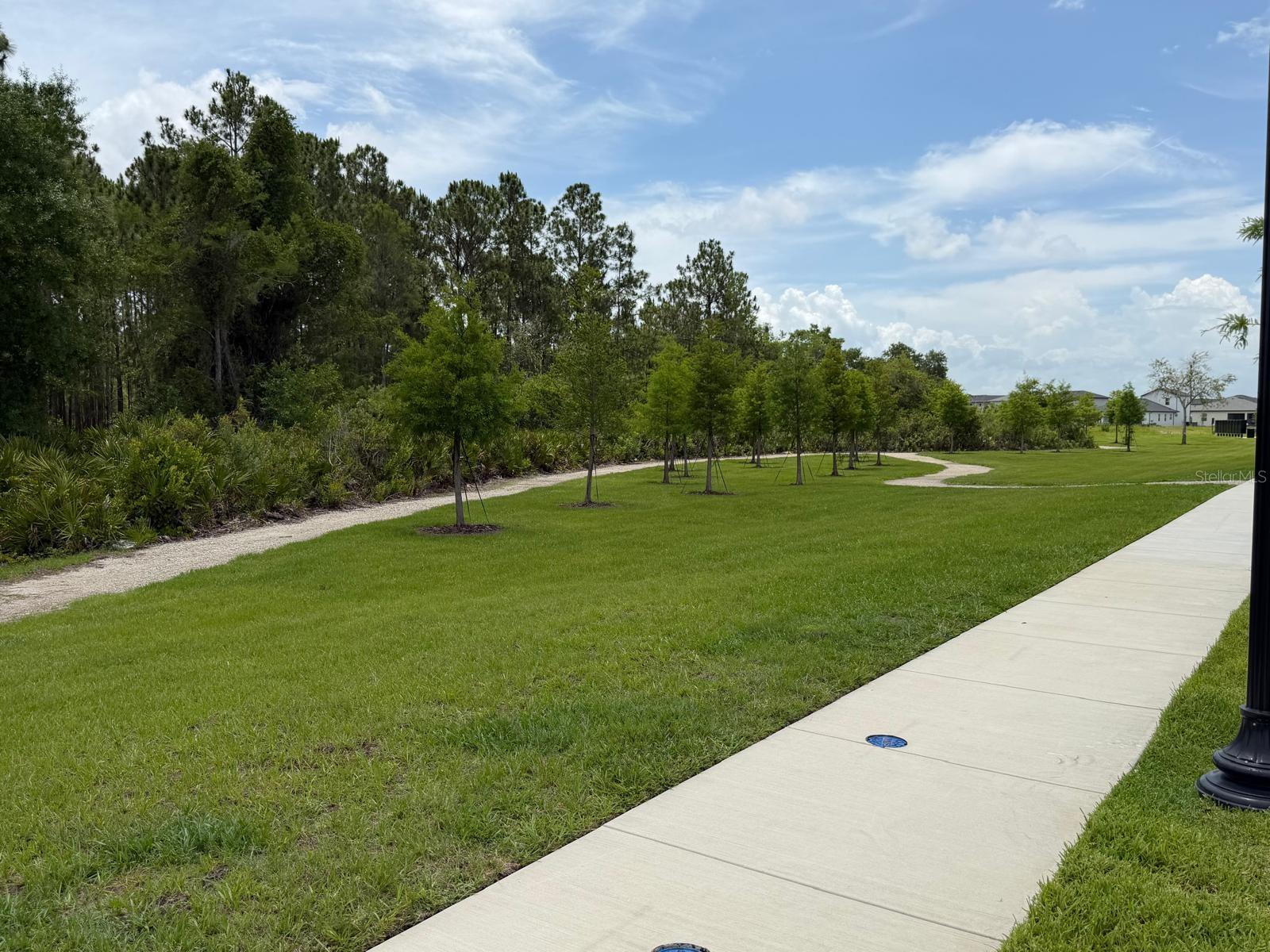 4256 Ranch House Rd Property Photo 26