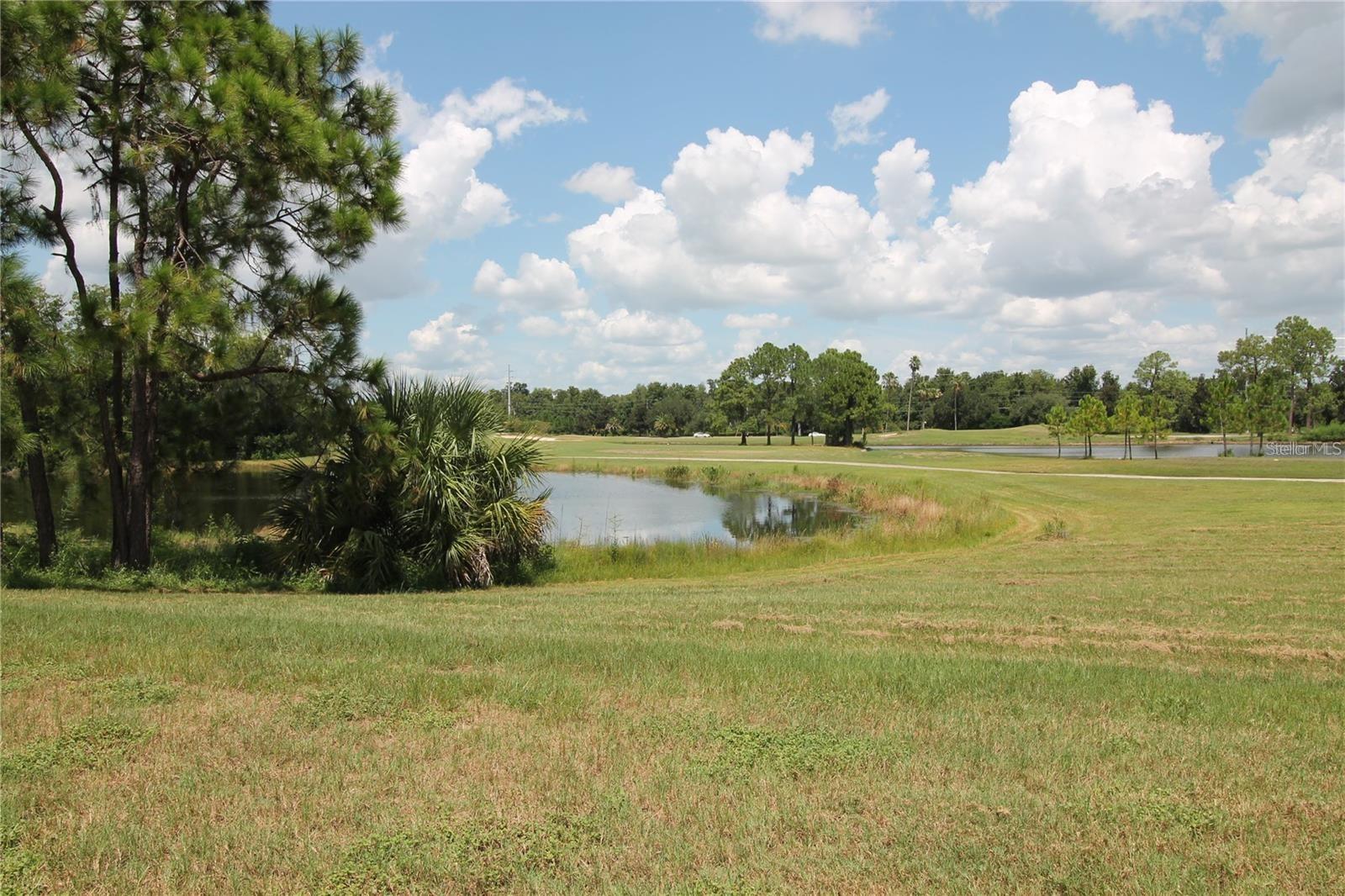 418 Del Sol Ave Property Photo 9