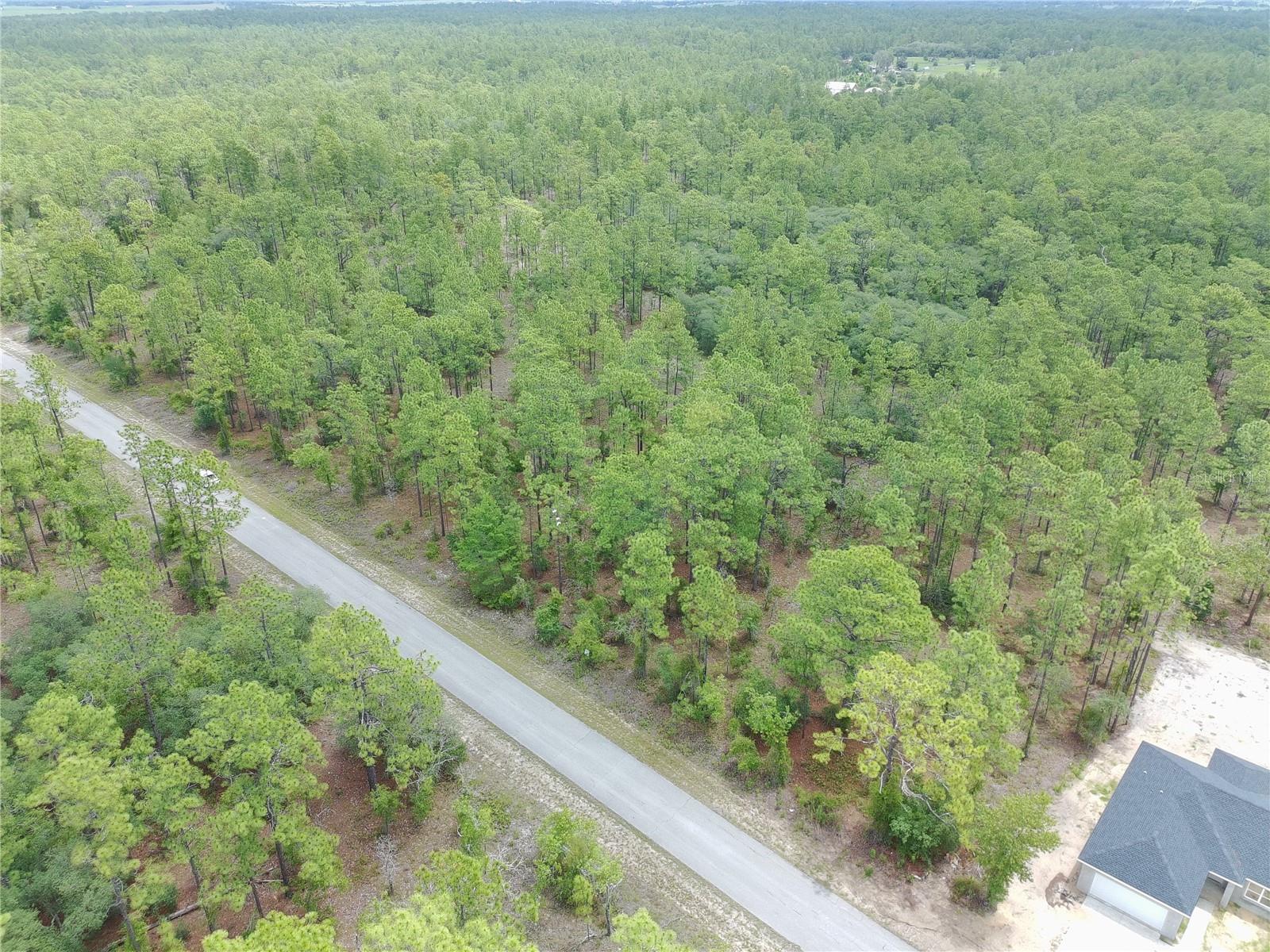 Sw Buena Vista Rd Property Photo 1