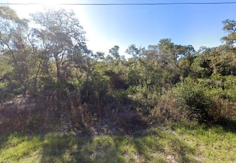 441 VERNON CT Property Photo 1