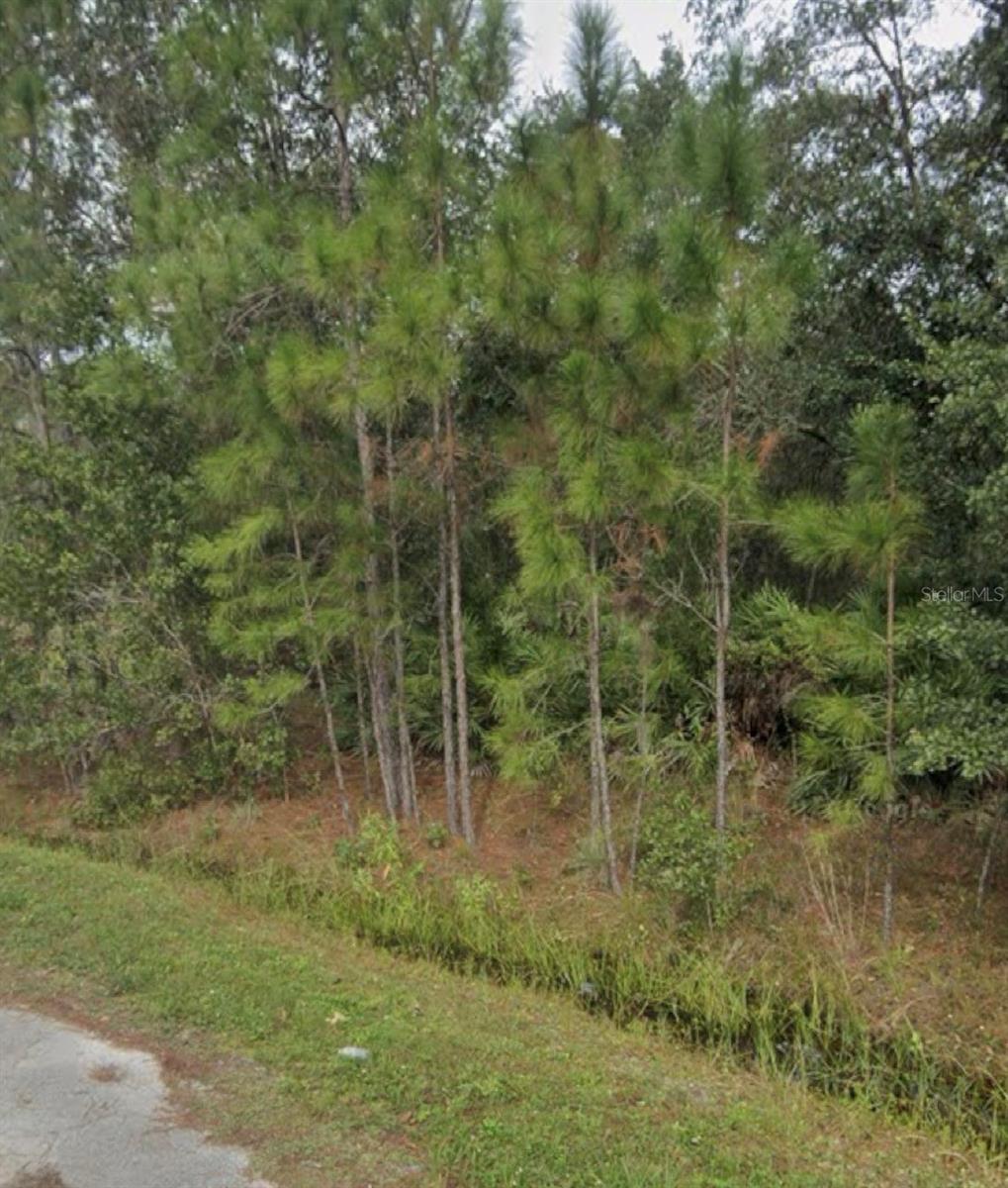 1437 TERN CT Property Photo 1
