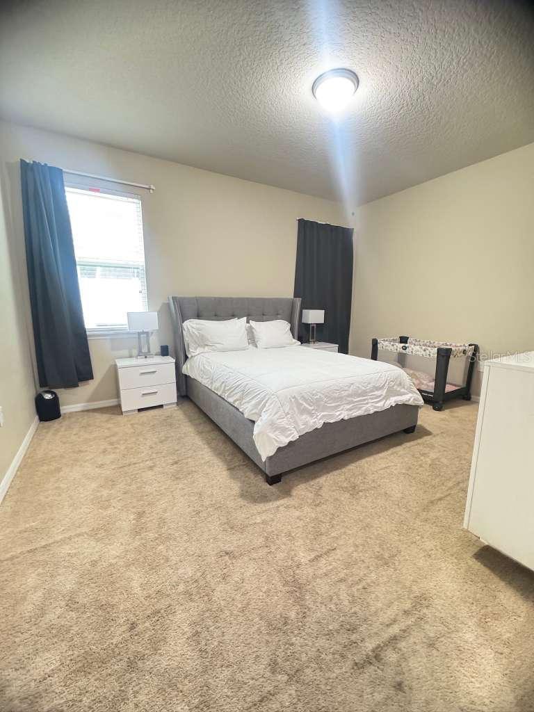 2515 Nouveau Way Property Photo 11