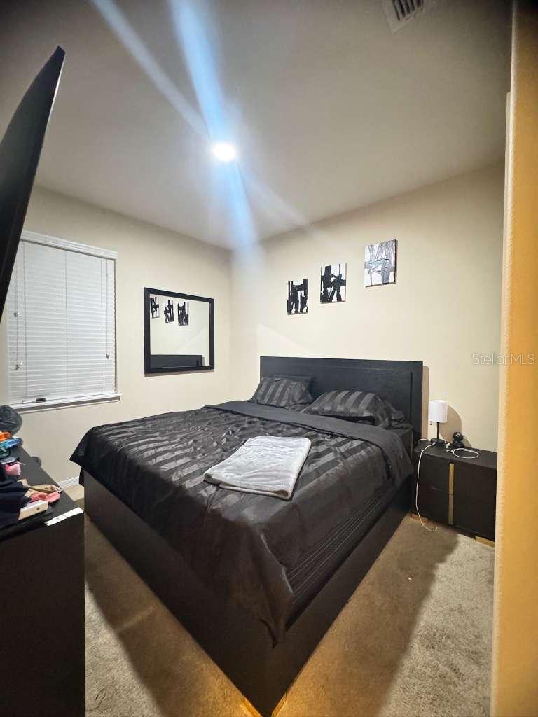 2515 Nouveau Way Property Photo 16