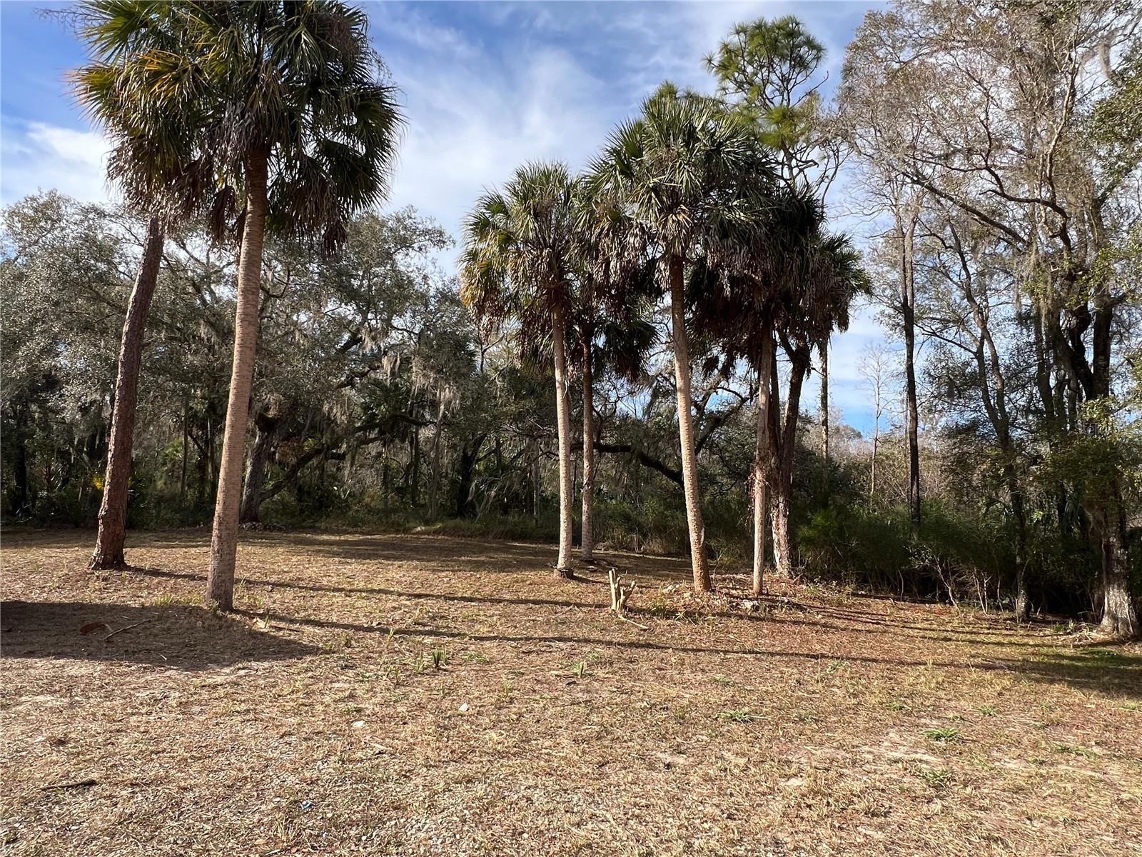 S5151135 Property Photo 20