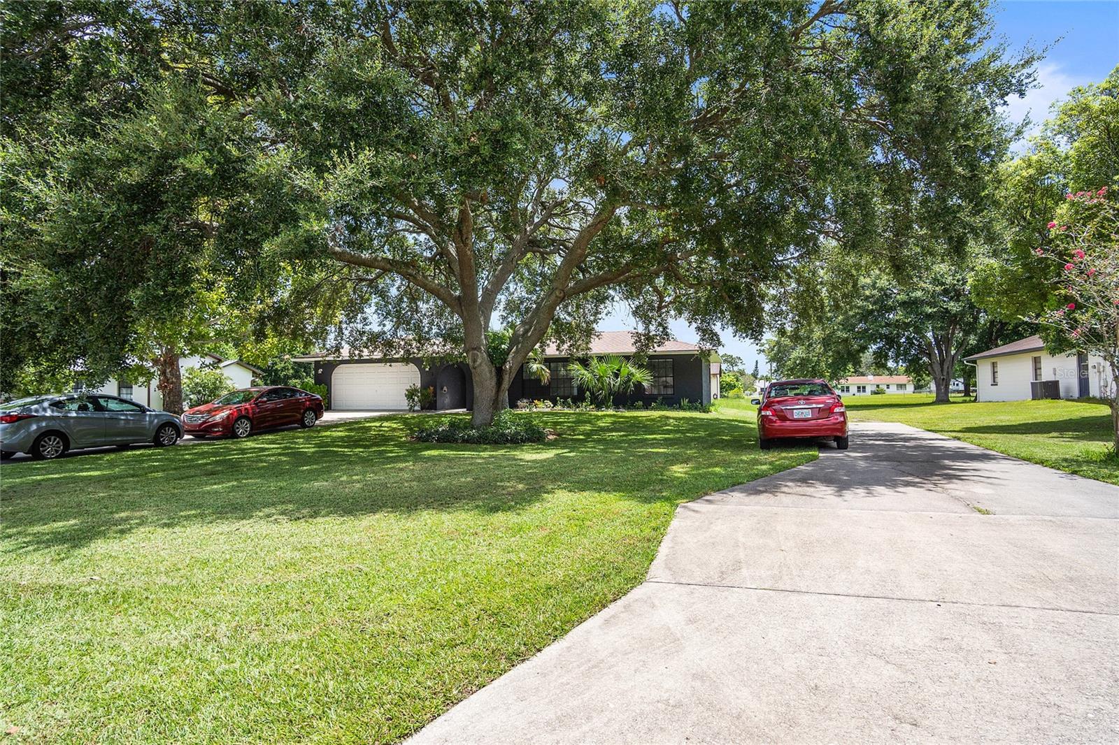 1177 Liza St Property Photo 4