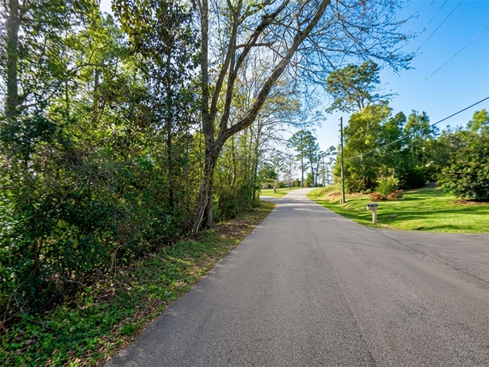 Satsuma Rd Property Photo 1