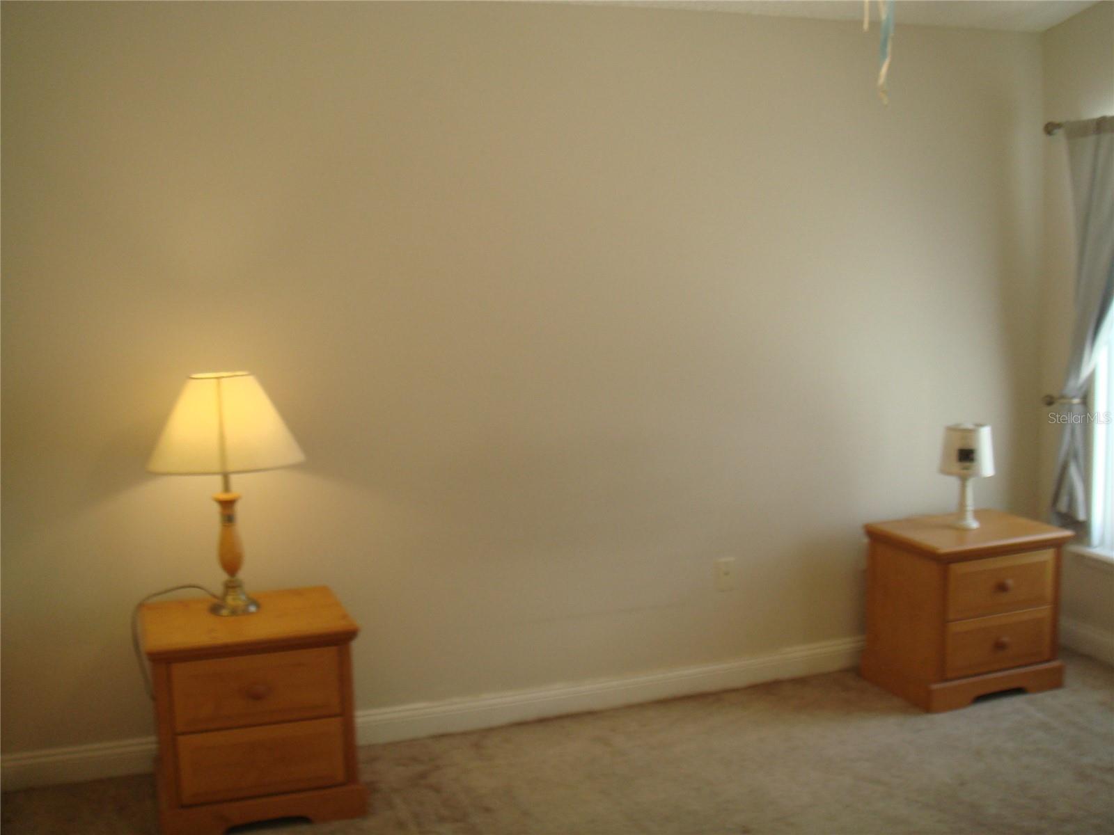 1036 Clear Creek Cir Property Photo 27