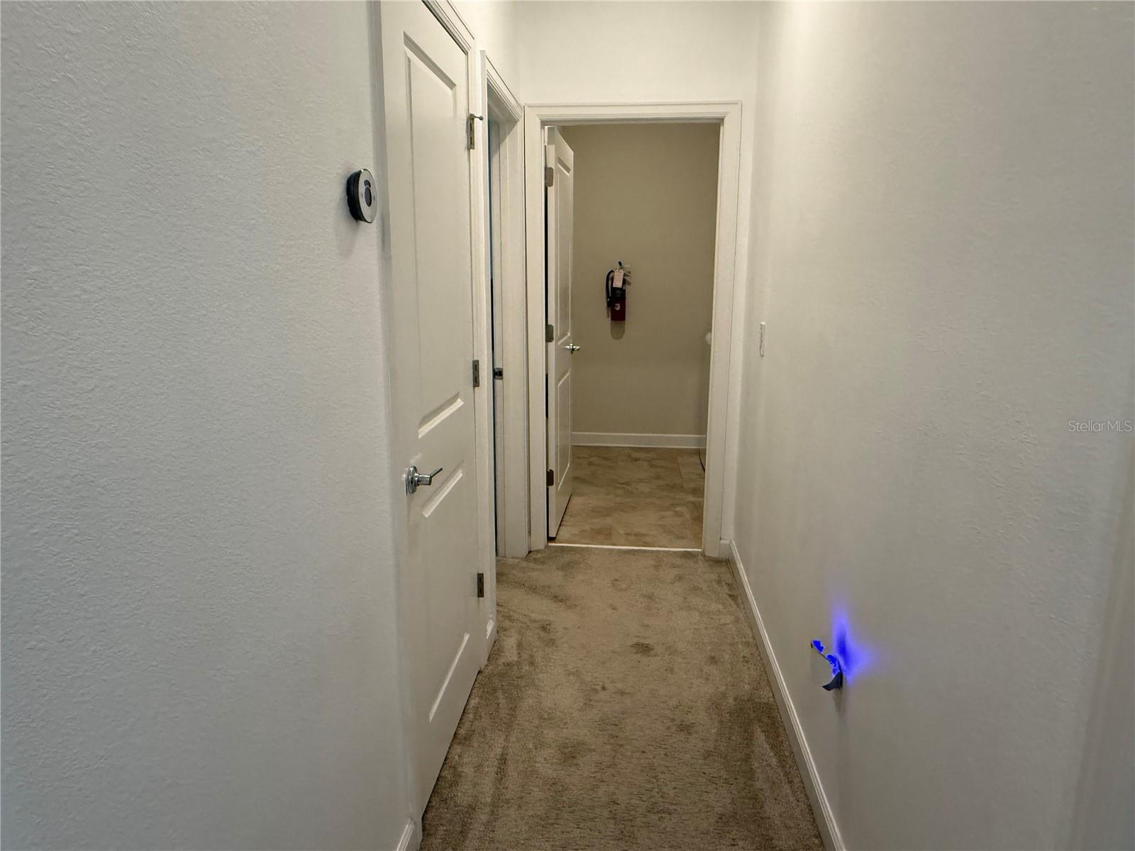 12444 Turtle Grass Dr Property Photo 21