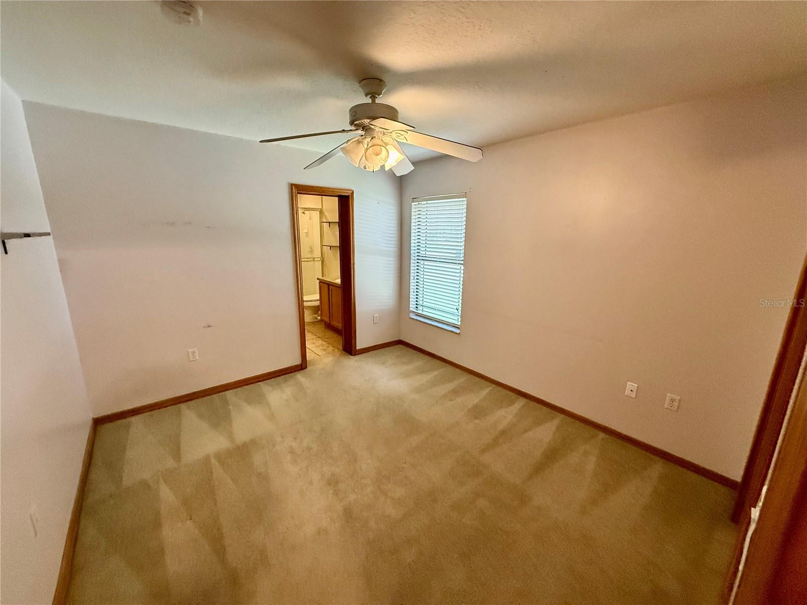 4843 Calasans Ave Property Photo 11