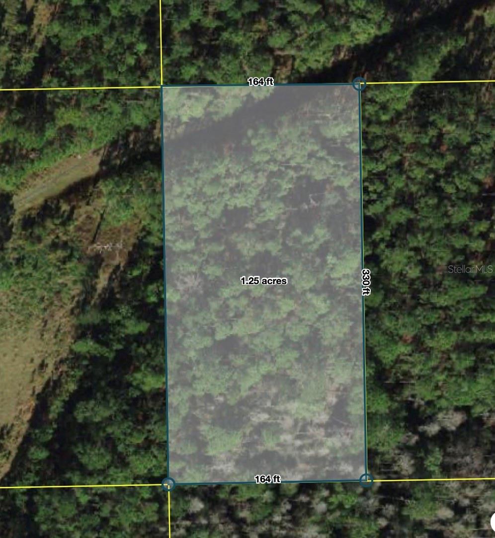 POLK CITY Property Photo 1