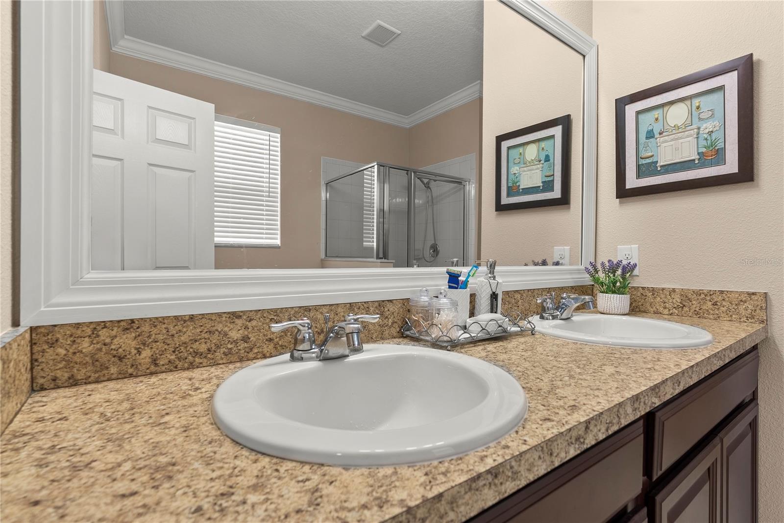 3534 Cayugas Loop Property Photo 23