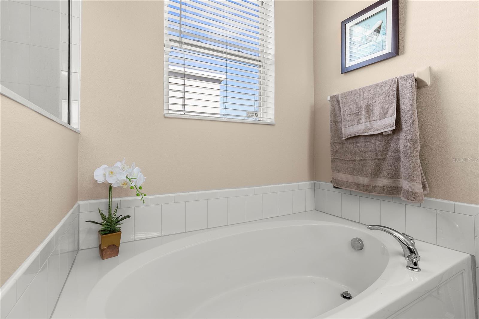 3534 Cayugas Loop Property Photo 25