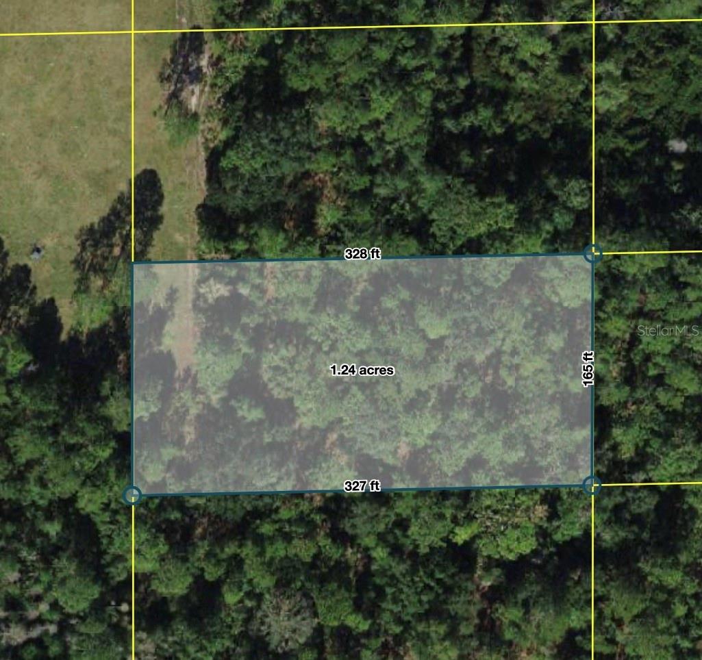 POLK CITY Property Photo 1