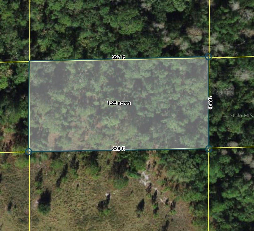 POLK CITY Property Photo 1