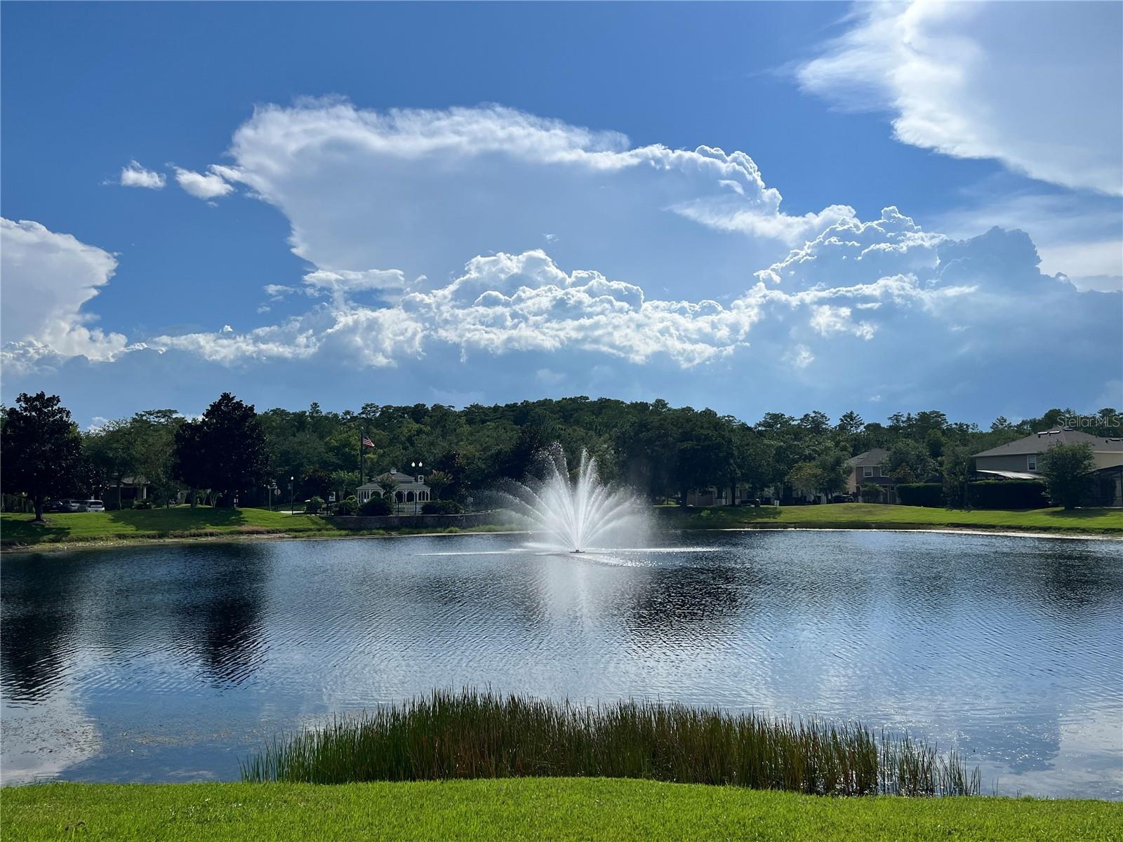 10068 Silver Laurel Way Property Photo 2