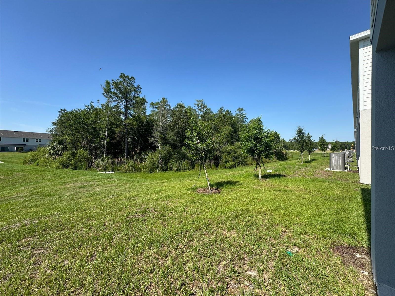 3133 Skyline Loop Property Photo 39
