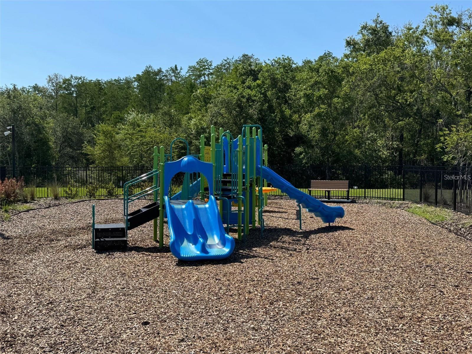 3133 Skyline Loop Property Photo 47
