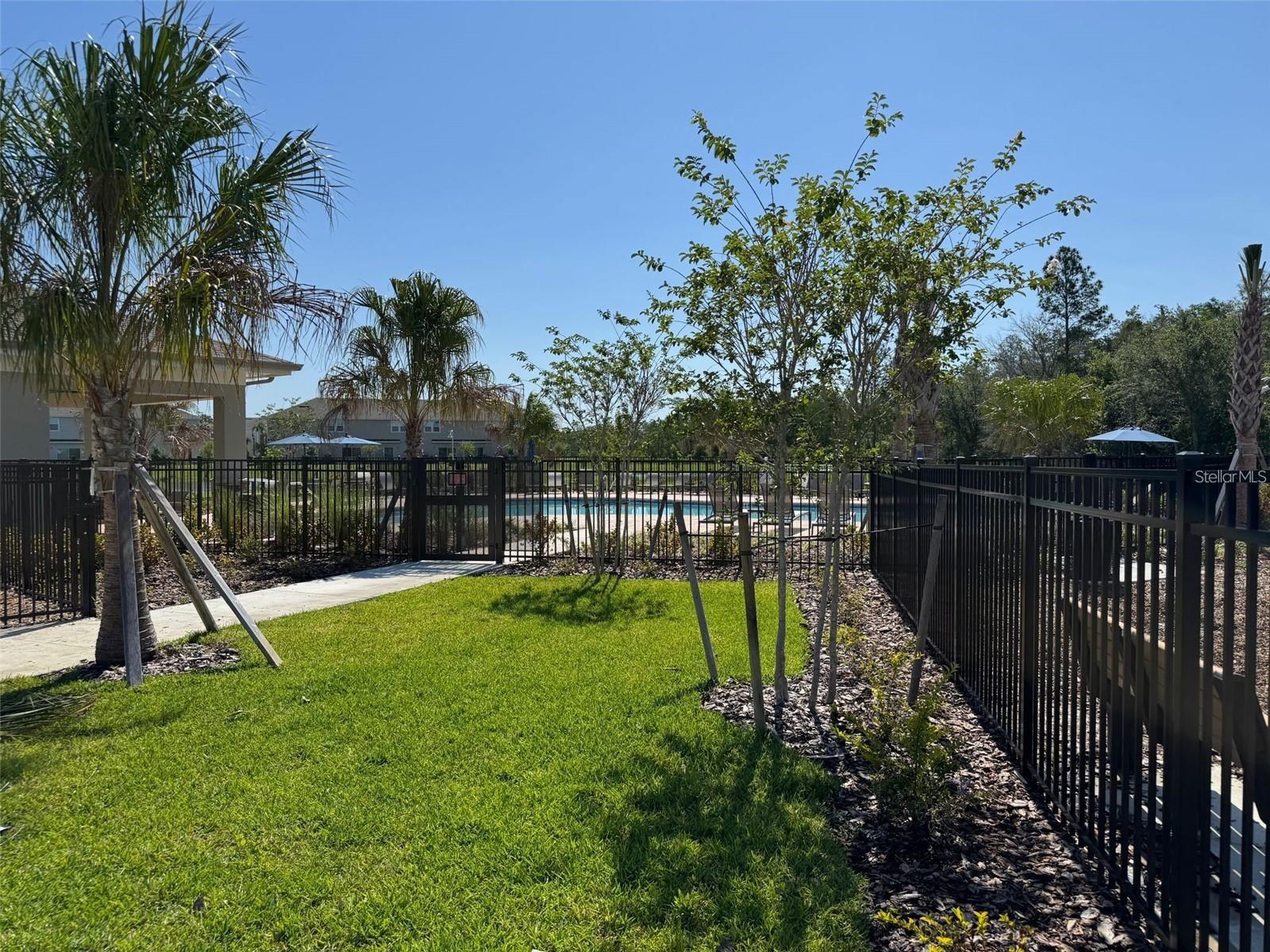 3133 Skyline Loop Property Photo 49
