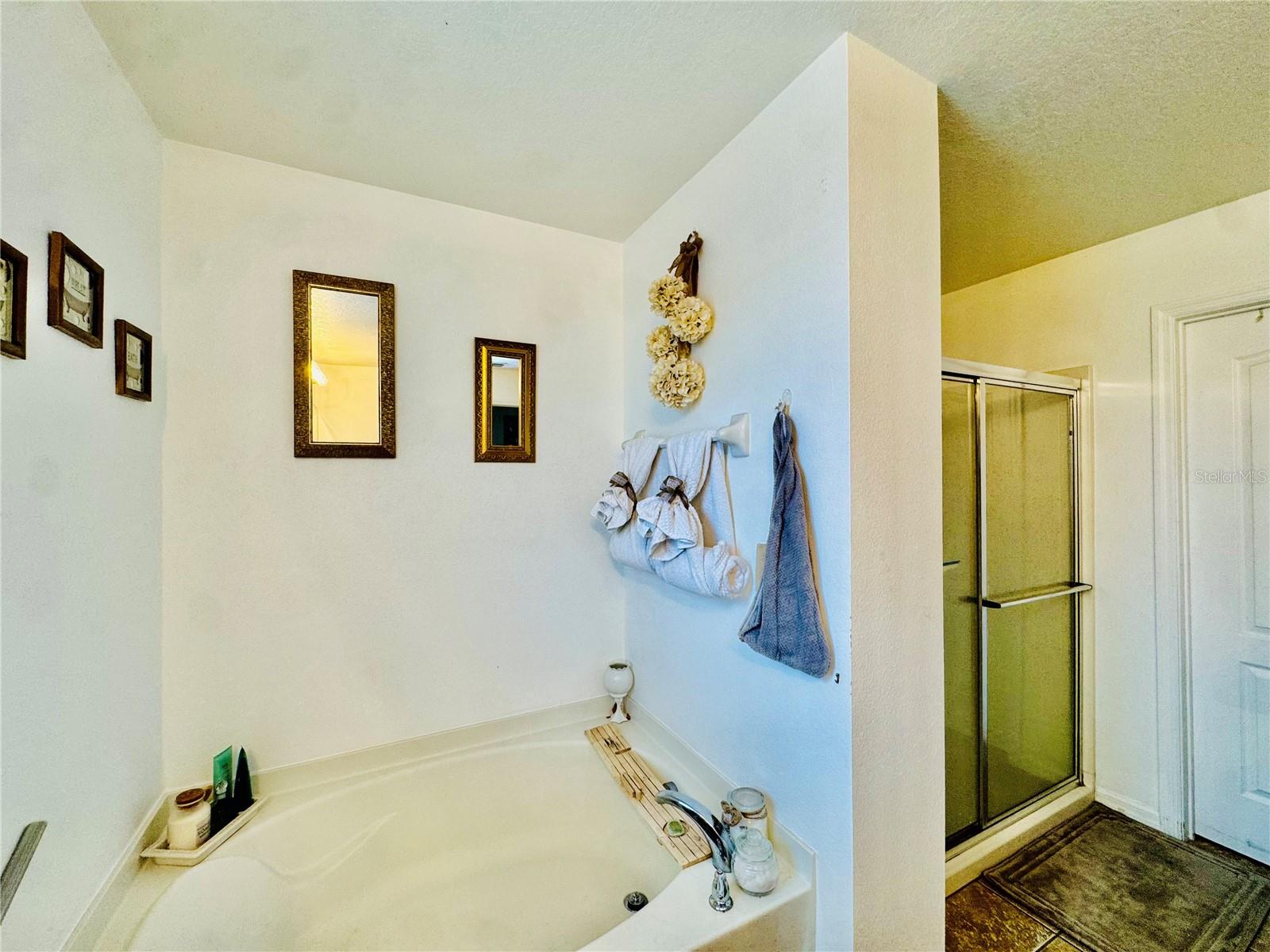 1868 Monte Cristo Ln Property Photo 30