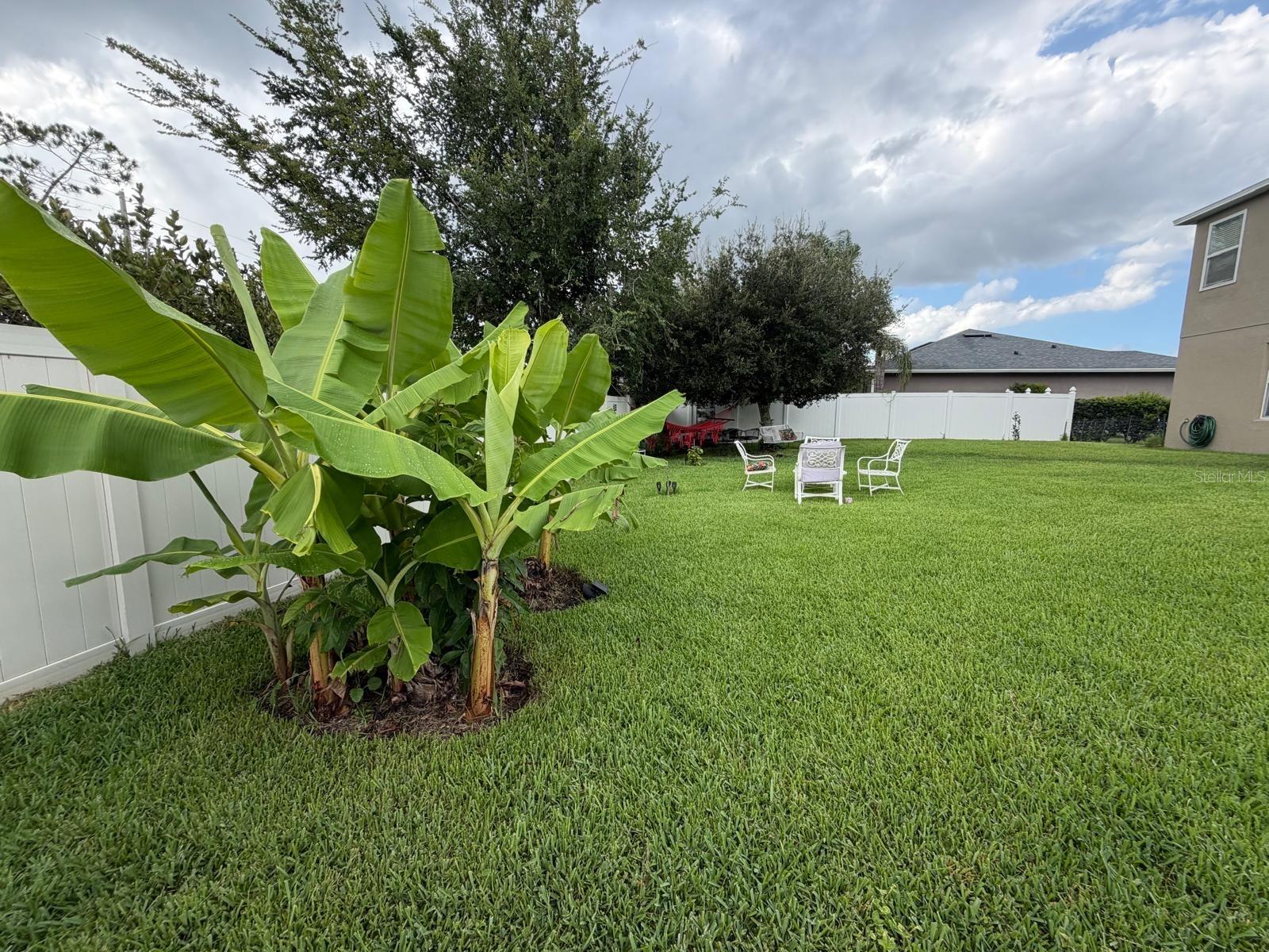 1868 Monte Cristo Ln Property Photo 37