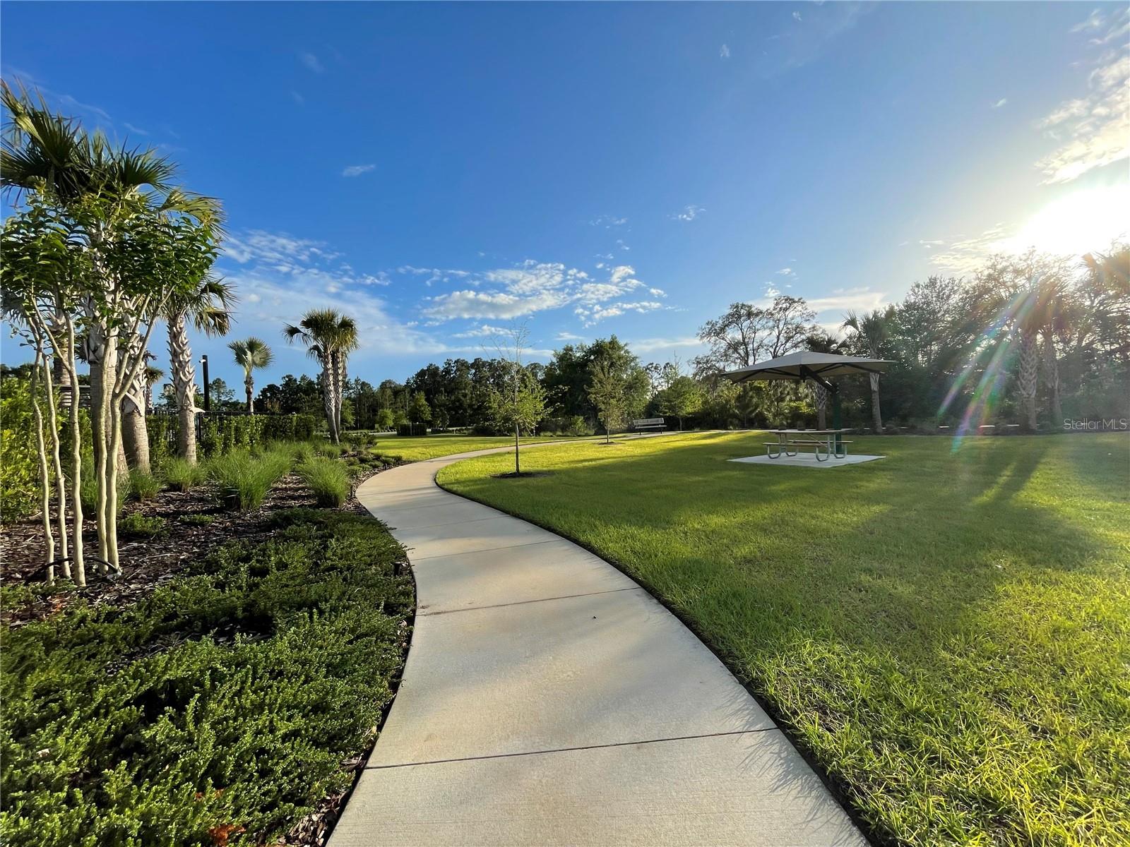 2818 Sanctuary Dr Property Photo 12