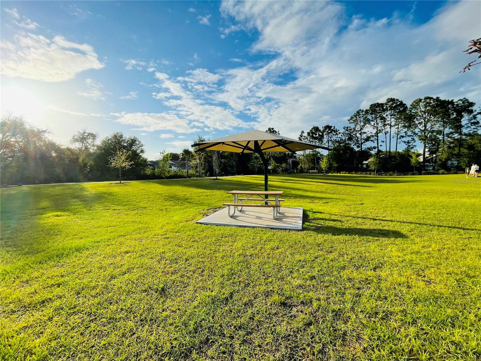 2818 Sanctuary Dr Property Photo 15