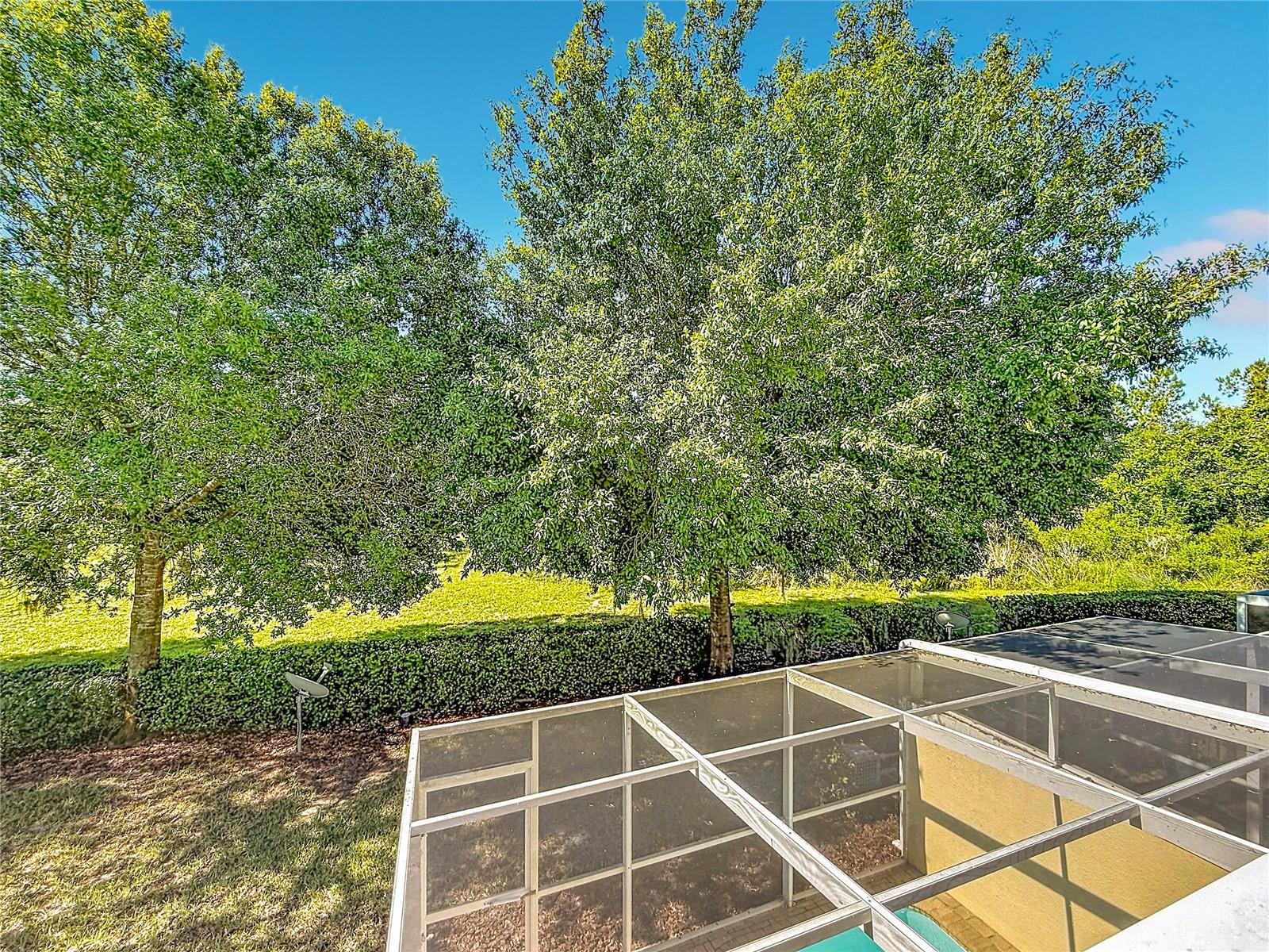 17508 Blessing Dr Property Photo 46
