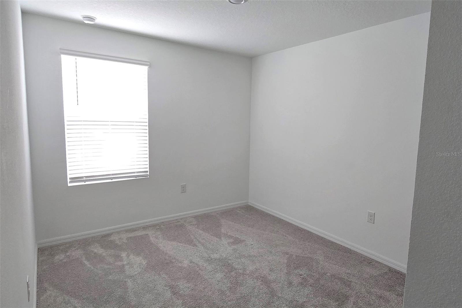 2978 Canary Ave Property Photo 22