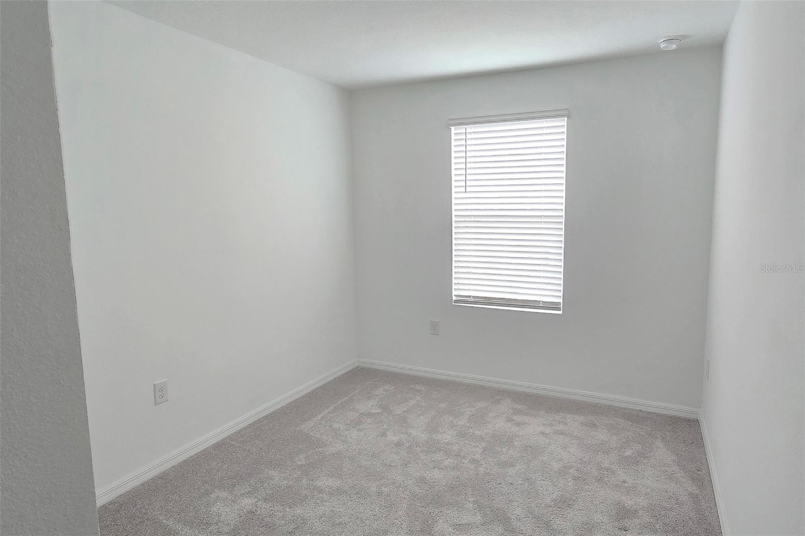 2978 Canary Ave Property Photo 25