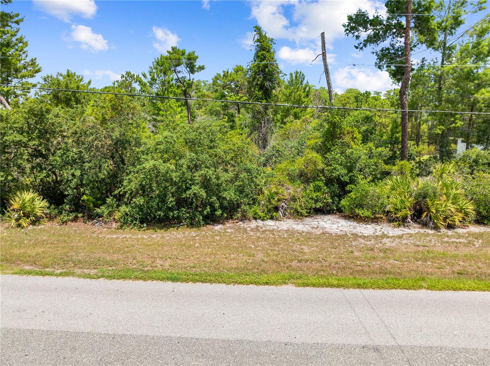 0 Oesterle Rd Property Photo 20