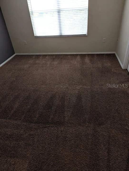 1034 Chalcedony St Property Photo 13