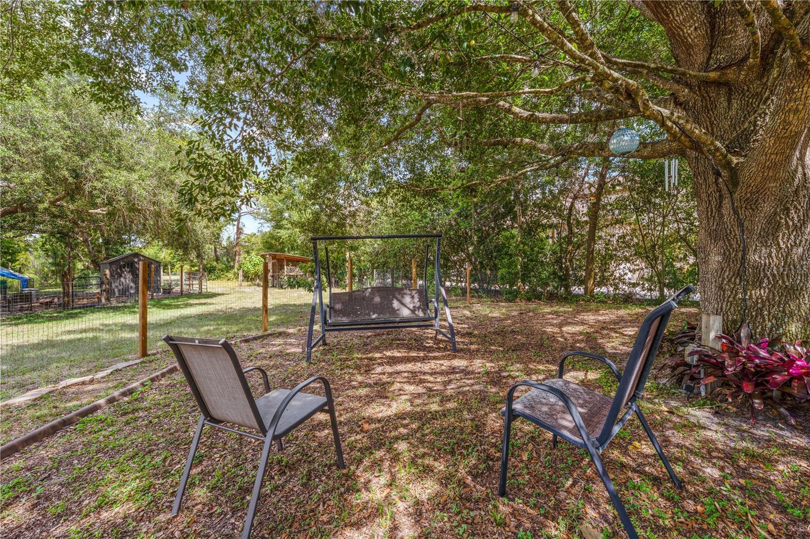 2065 Mustang Ct Property Photo 19