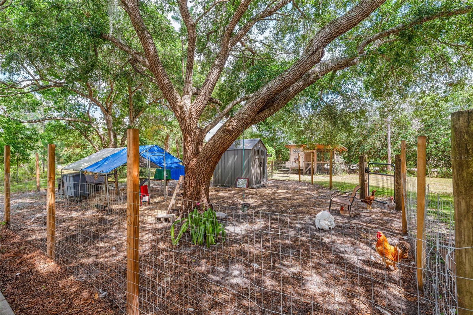 2065 Mustang Ct Property Photo 27