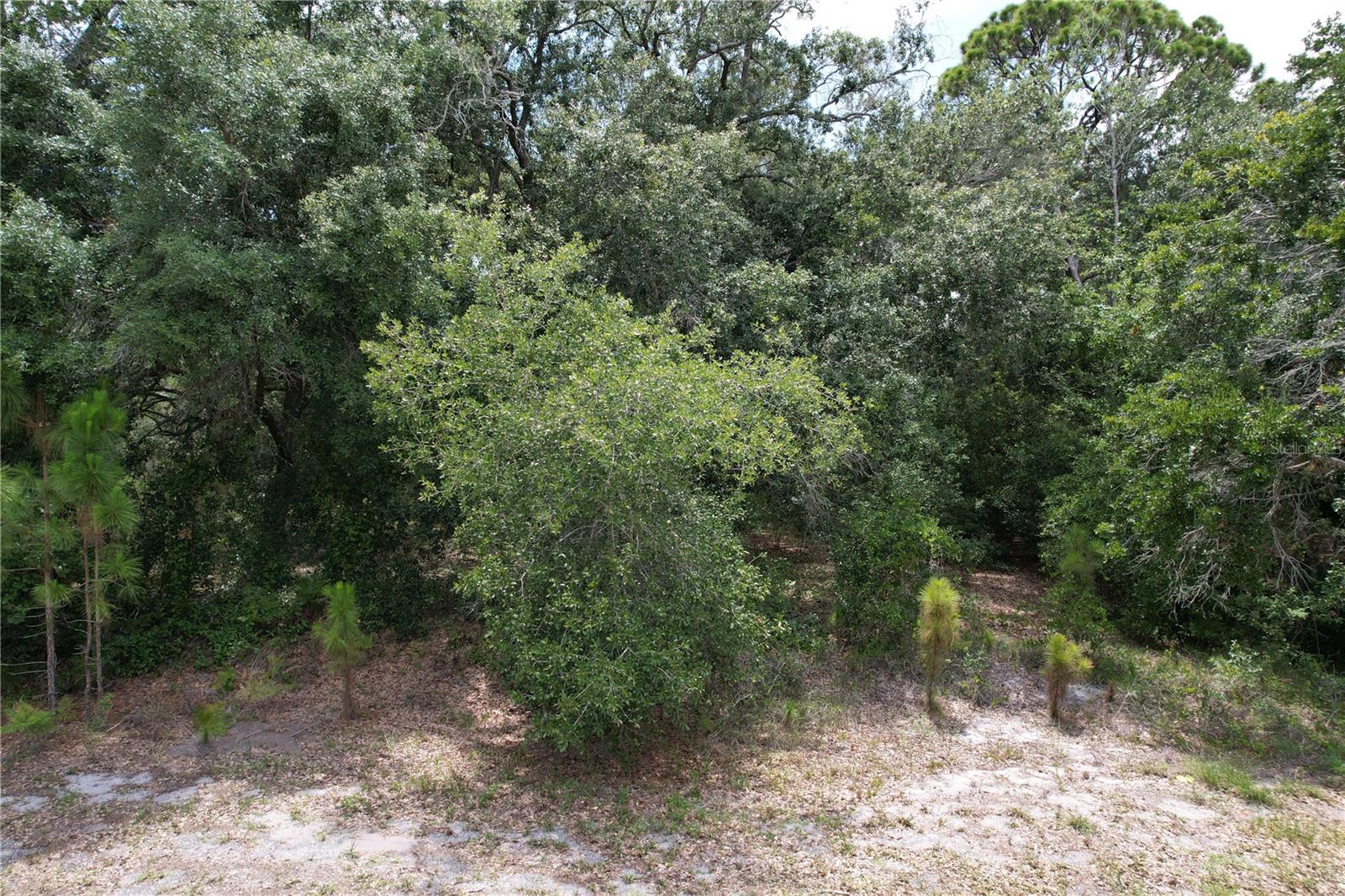 1008 Wildflower St Property Photo 1