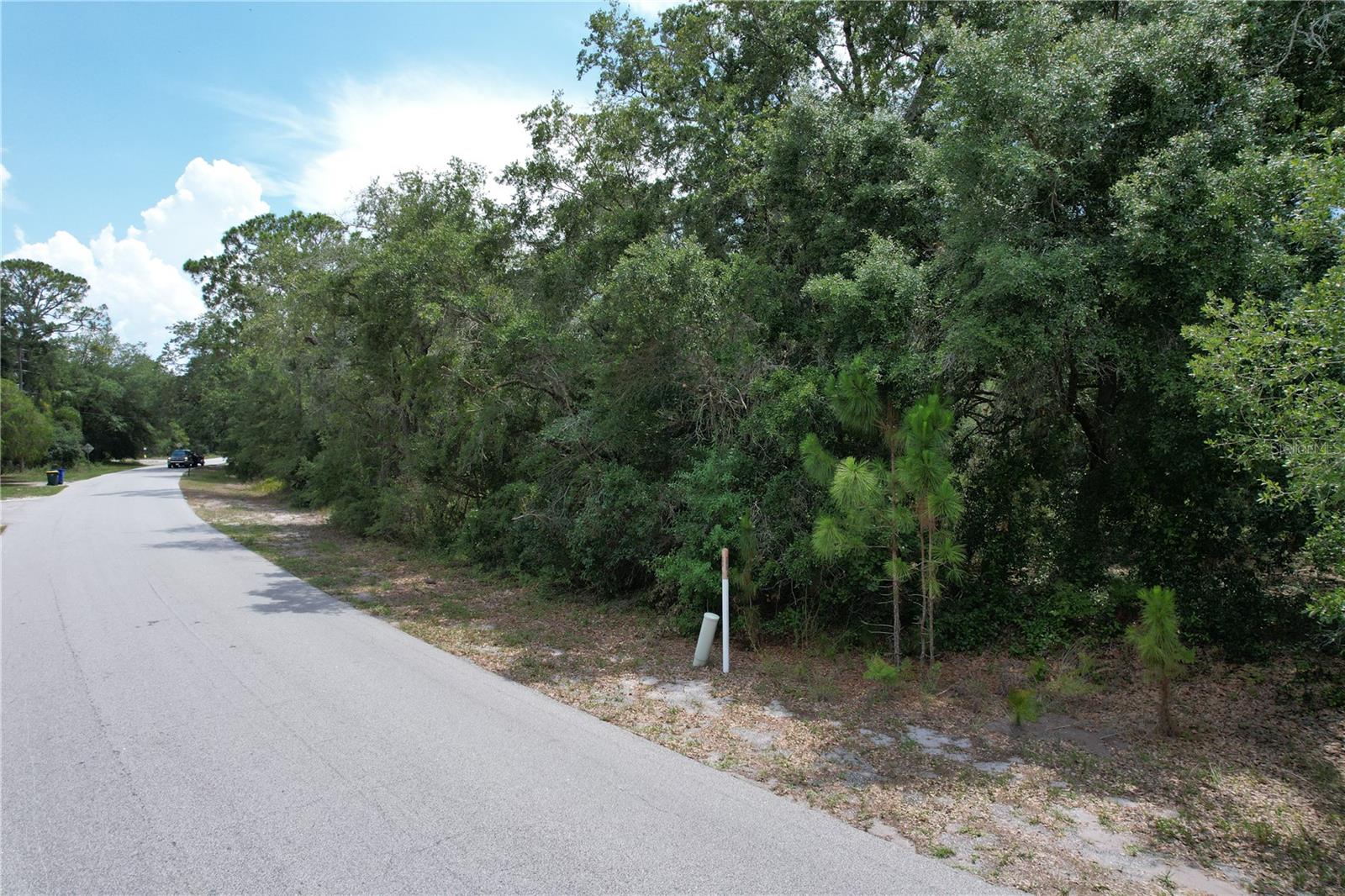 1008 Wildflower St Property Photo 2
